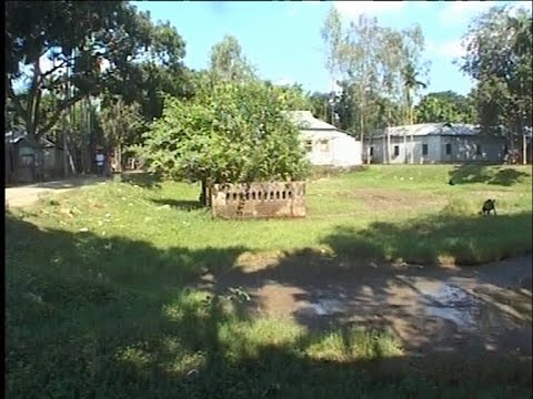 সরিষাবাড়ির সাতপোয়া গণকবর ও বধ্যভুমি সংরক্ষণের দাবি