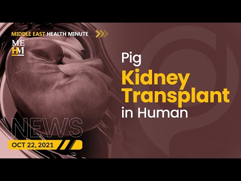 Pig Kidney Successfully Transplanted in a Human Patient, and More