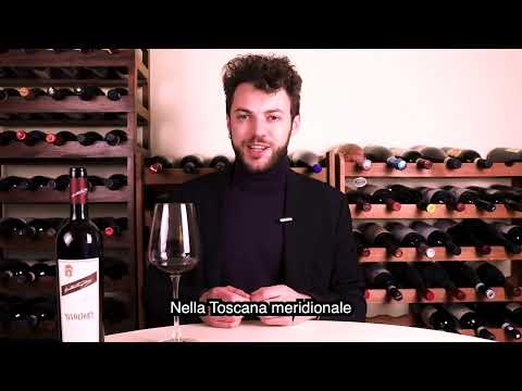 Avvoltore - Moris Farms