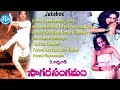 Sagara Sangamam Movie Songs || Video Songs Jukebox | Kamal Haasan | Jayapradha | Ilayaraja
