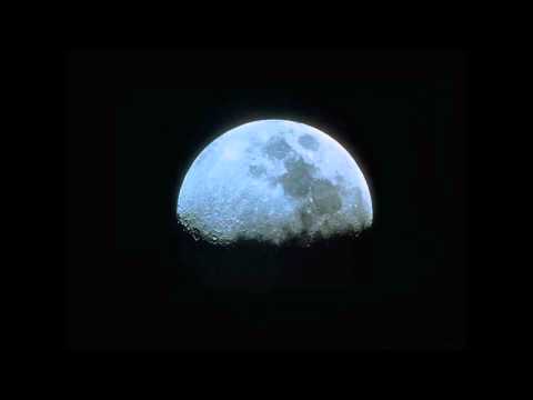 Moonbeam feat. Helen Victory - Flower (Dub Mix)