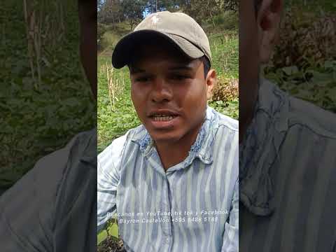 Muy pronto entrevista con un joven aficionado  a la música. Condega, Estelí, Nicaragua 2025