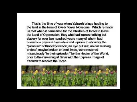 4/28/14 Month of Ziv (Iyar)