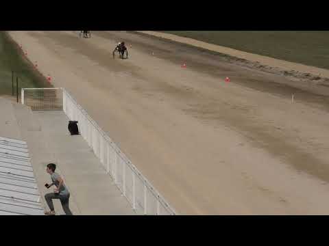 Trka "Atareg" 14.08.2021 Filante de Digeon - Novica Đorđević