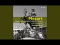 Symphony No. 40 in G Minor, K. 550: III. Menuetto. Allegretto