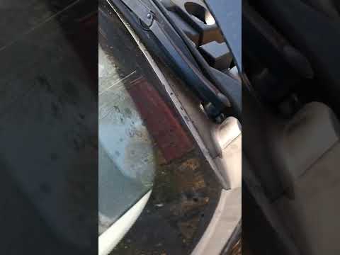 any ideas what the whining noise is on acceleration