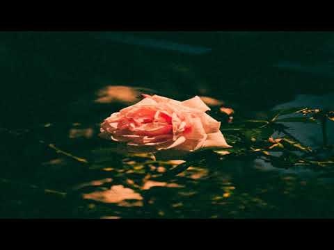 Fleur - PUARIO