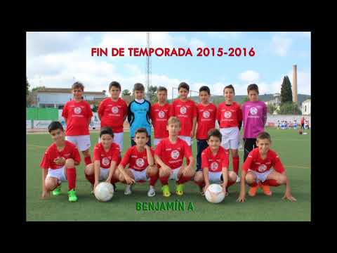 ALEVIN FIN TEMPORADA