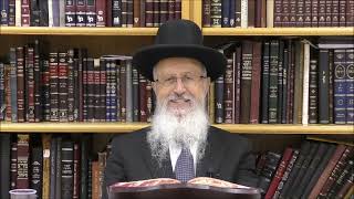 הגאון הרב אברהם יוסף שליט"א האם אפשר לקדש או להבדיל על משקה שמעורב עם יין (הרב אברהם יוסף) - התמונה מוצגת ישירות מתוך אתר האינטרנט יוטיוב. זכויות היוצרים בתמונה שייכות ליוצרה. קישור קרדיט למקור התוכן נמצא בתוך דף הסרטון