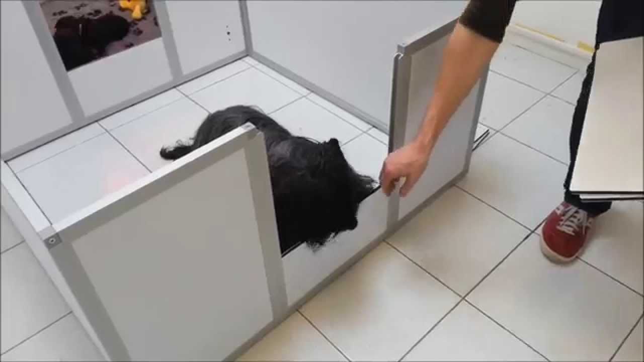 Caisse mise bas pour chienne - Vivog