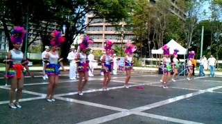 Batuteras de Guaynabo y su Banda,Inc.