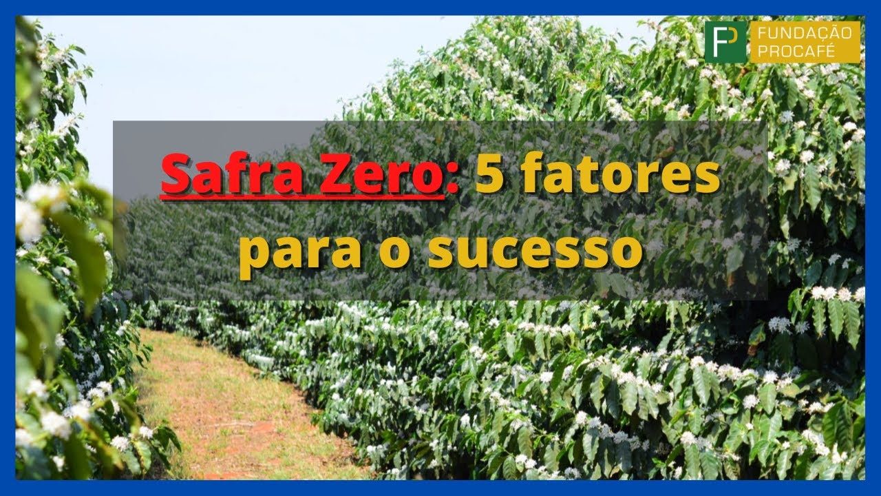 Podcast #20 - Safra Zero: 5 fatores para o sucesso