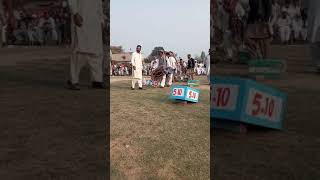 pelwan zafar butt kantrili lifting stone 20 feb 2021