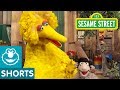 Sesame Street Big Bird S Joke ShareTheLaughter