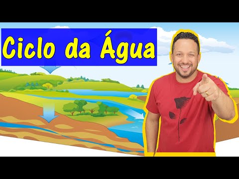 Ciclo da Água - Tudo que você precisa saber - Ciclos Biogeoquímicos - Ecologia