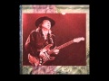 Stevie Ray Vaughan - All Your Love (live version)