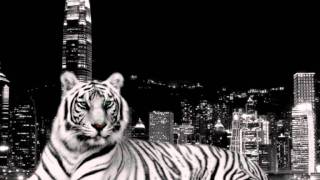 Tigercity - Let Her Go