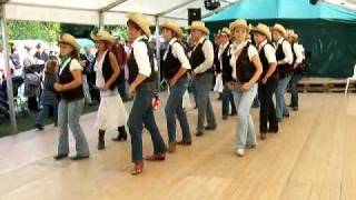 26/05/25 - Wild Stallion