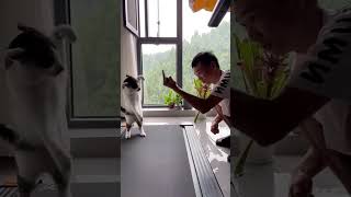 Download lagu Full Video: https://youtu.be/YtDCr8J52lg?is=dNABbf5XUO9ITuvC #viral #asmr #animalshorts mp3