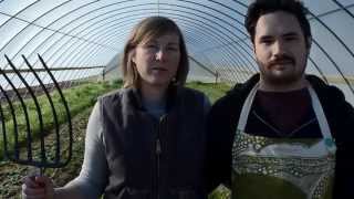 Urban Farming with Cardo's Farm Project, Denton, Texas