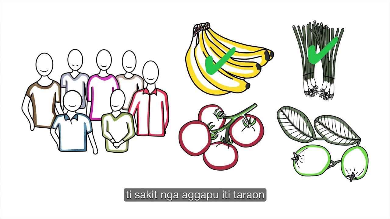 GAP Video    Ilocano Certification