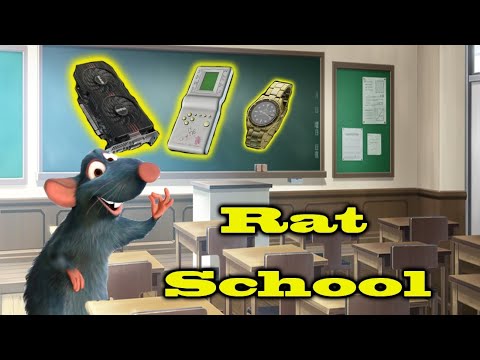 RAT SCHOOL - Escape From Tarkov