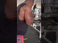 entrenamiento de brazos bíceps y tríceps