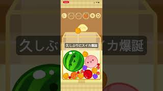 久しぶりにスイカ爆誕