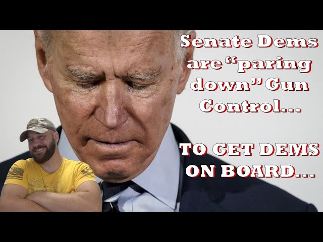 Gun Control in the Senate is getting DESPERATE… Dems “set to pare down gun control bills for unity..
