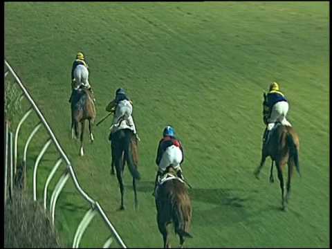 Galoppo 07/01/2017 - 4ª corsa