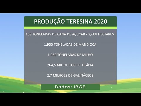 Agricultura e pecuária da zona rural de Teresina servem ao consumo interno e exportação 13 08 2022