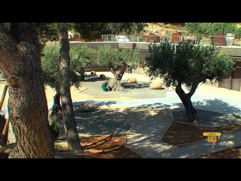 15/04/13 – 15 desempleados se forman en el Taller de Jardinería de La Nucía