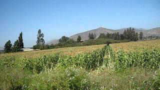 preview picture of video 'Chilefarms, Nogales, Chile: A 360 degree sweep of the farm property'