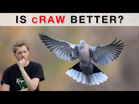 Was I WRONG? Comparison of cRAW and RAW using the Canon R5