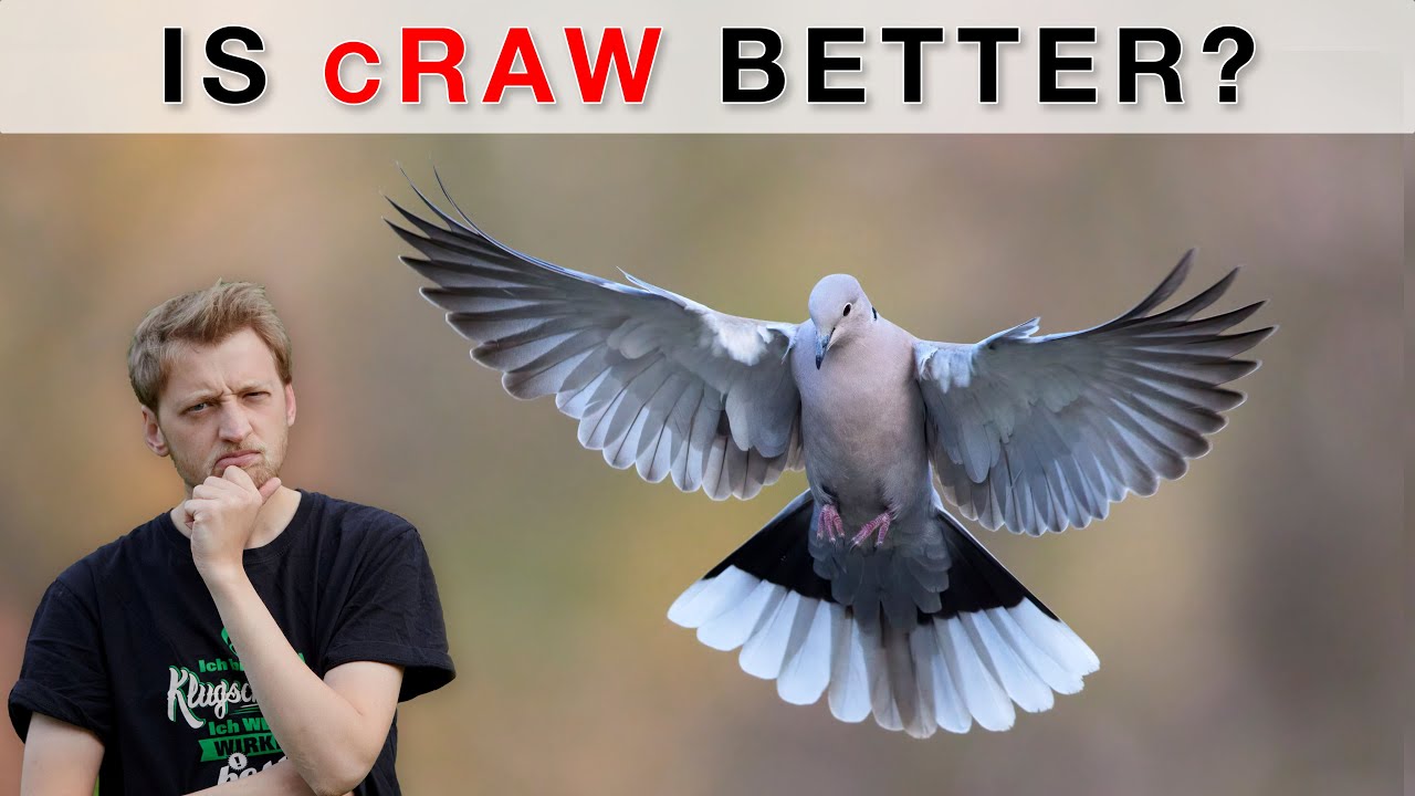 Canon cRAW vs RAW DxO PhotoLab DxO Forums
