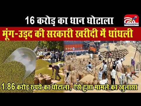 Majitha Warehouse Scam : 16 करोड़ का धान घोटाला, मूंग-उड़द की सरकारी खरीदी में धांधली,1.86 करोड़..