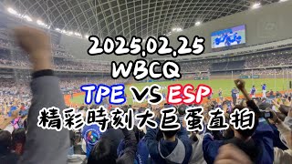 [分享] WBCQ台灣vs西班牙 大巨蛋現場Highlight!!