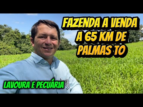 Fazenda a venda no Tocantins a 65 km de Palmas capital 
