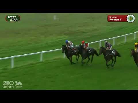 Galopprennbahn Dresden   27 08 2022   2.Rennen