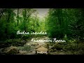 Nadhiye Nadhiye Kadhal Nadhiye A R Rahman WhatsApp Status