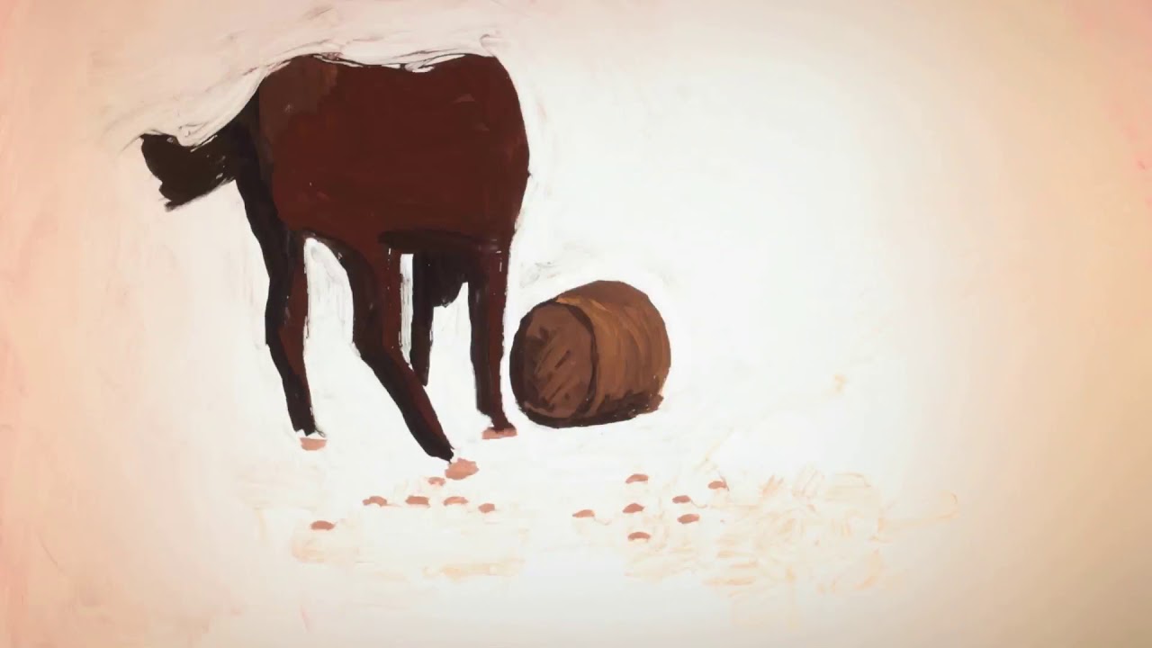 The man with no shadow by George Schwizgebel - Paint on Glass Animation