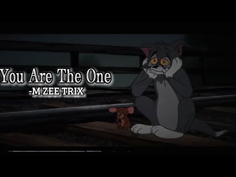 @HOMEBOYDHIRAJ : You’re The One Lyrics video ||2B Liars