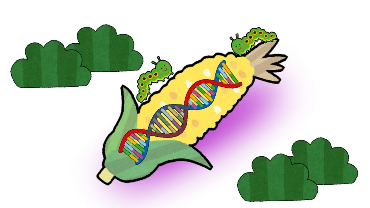 遺伝子組み換え