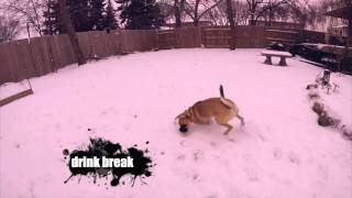 Freya in circles - January 2016