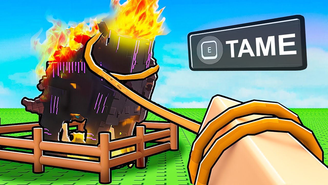 Complete Beginner's Guide