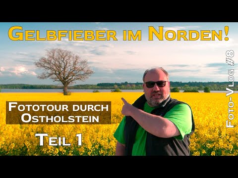 Gelbfieber im Norden // Eine Fototour durch Ostholstein // Teil 1