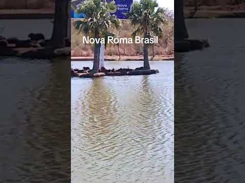 Nova Roma Goiás #diaadianaroca #fypシ゚viral #vidanaroça