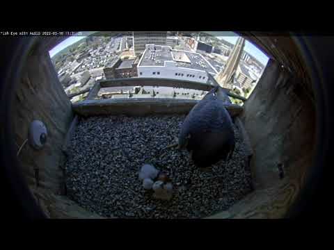 May 10 2022 Ares brings a late morning meal 1120AM