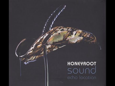Honeyroot - Starshine