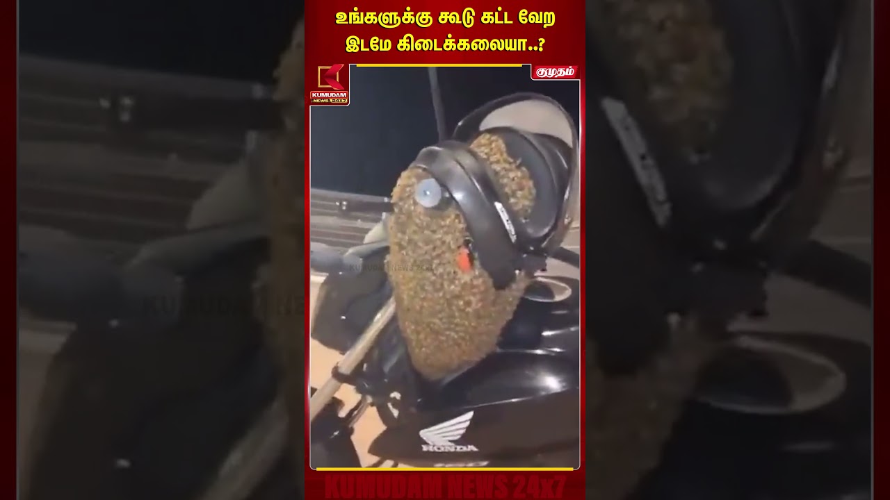 உங்களுக்கு கூடு கட்ட வேற இடமே கிடைக்கலையா..? | Bee | Honeycomb | Beehive | Kumudam News